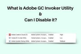 What is Adobe GC Invoker Utility & Can I Disable it Thumbnail